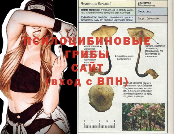 винт Лихославль