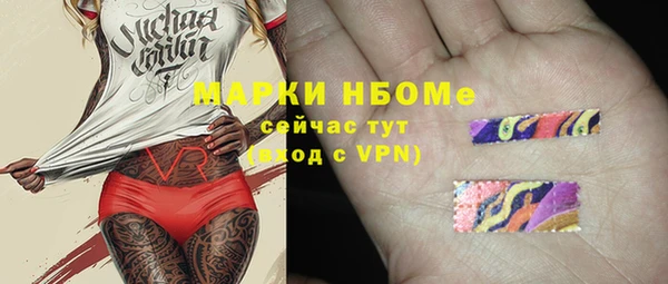 хмурый Липки