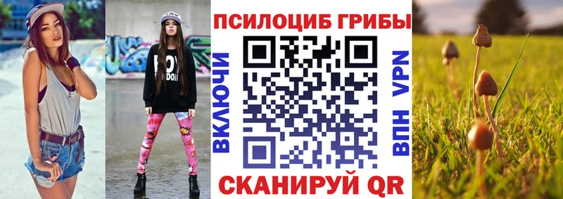 Псилоцибиновые грибы мицелий  цены наркотик  Снежногорск 